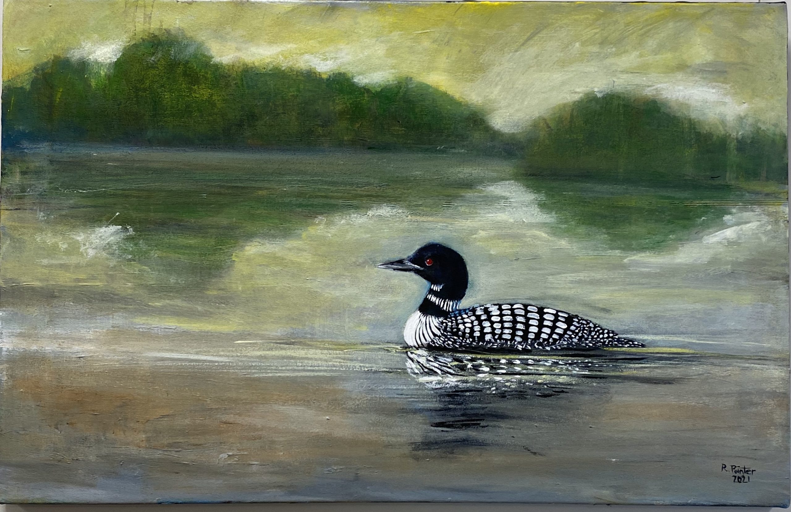 loon on the lake